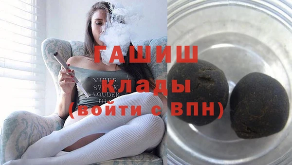 шишки Бородино